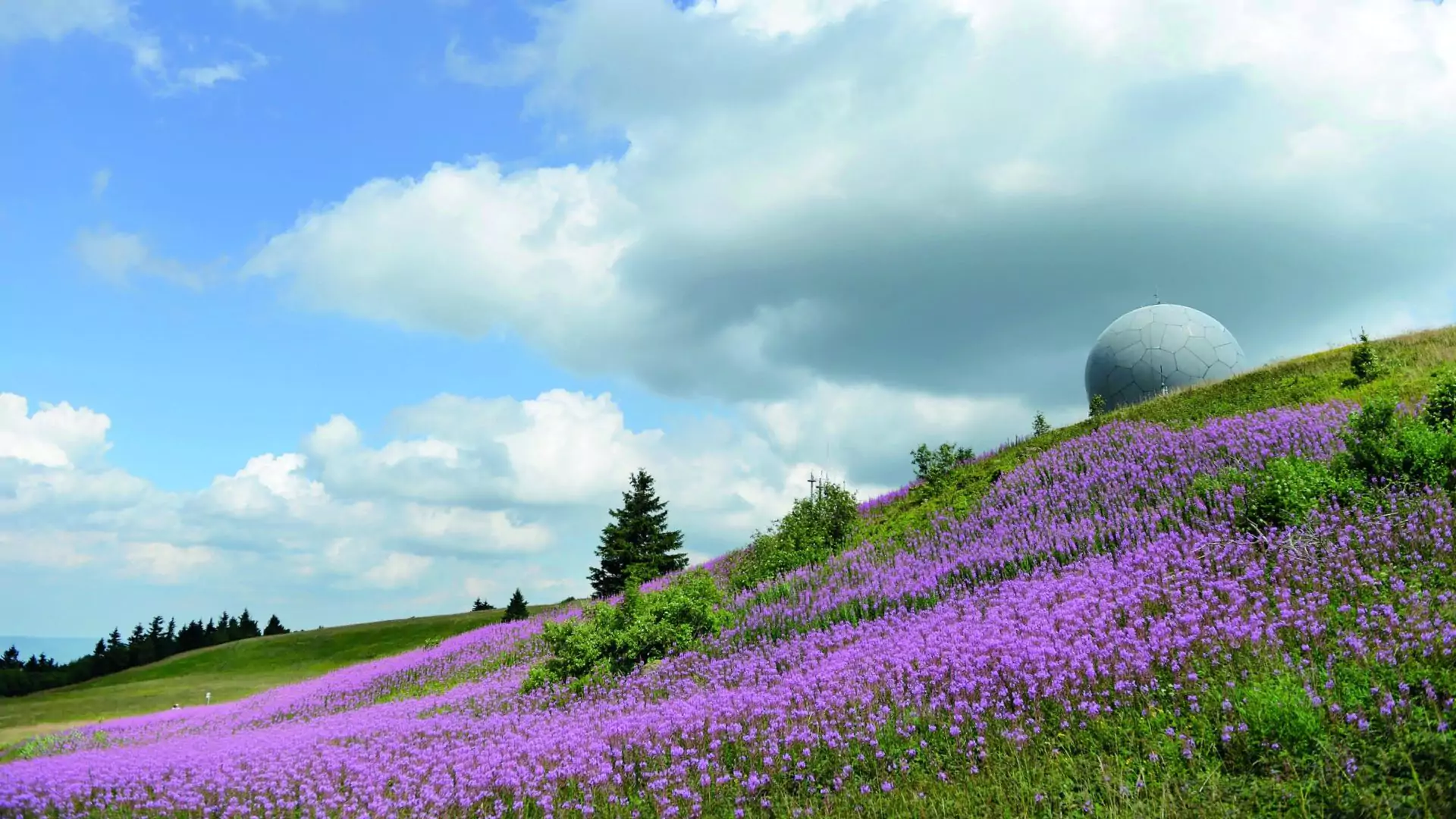 Nachhaltigkeitspreis 2024 für Noventa